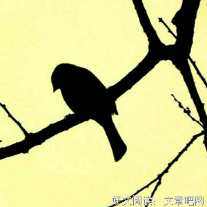 关于叶非墨的座右铭