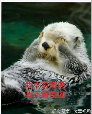 随心随意经典名句