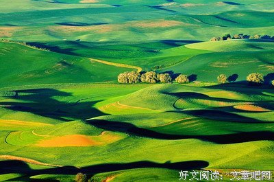 时光静好经典名句