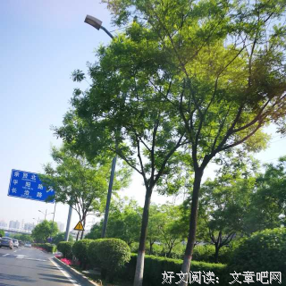最全的微酸袅袅名言