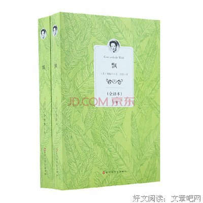 《飘》小说摘抄大全