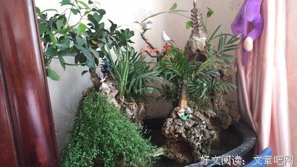 《六爻》小说摘抄大全