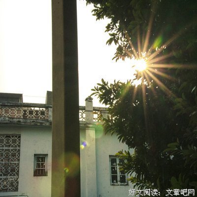 最新的《尘曲》佳句摘抄大全