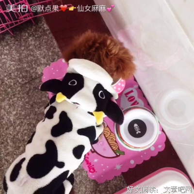 “拿命爱你的人，就算了吧”