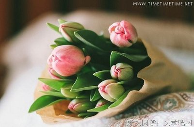 最新的《沉默》经典语录大全