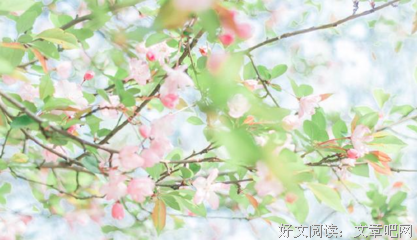 真正爱你的女人，从不会把这些事情放在心上