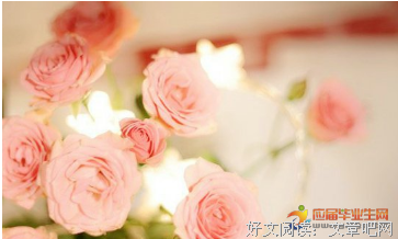 云丢了的轻外哭了优美的句子