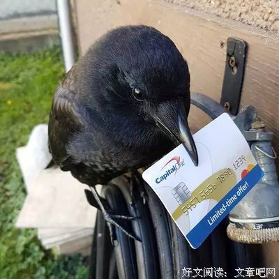 有关逹、闻西 ?的名言