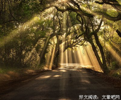 最全的《空间》经典句子
