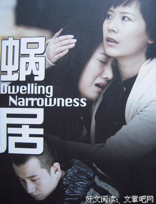 最经典的《蜗居》小说书摘