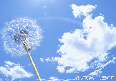 最经典的《谚语》经典名句