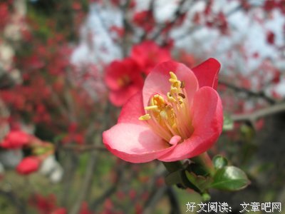 暧昧男刮走2万块，我杀回他老家