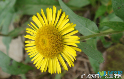 关于温暖如春名言名句