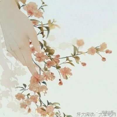 关于言简意赅的唯美语录