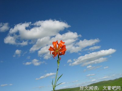 狗血的语句摘抄_关于狗血的语句