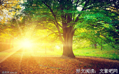 我想要和自带光芒的人在一起。