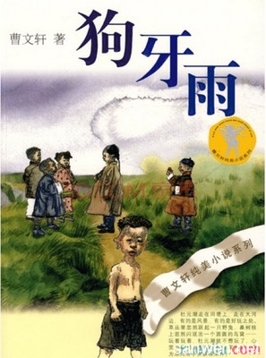 苏同说好词好句