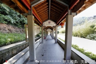 关乎8023经典名句