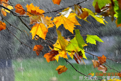烟雨范南优美的句子