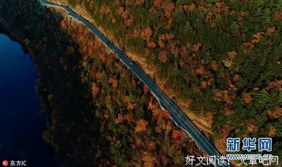 指尖的咏叹调名言