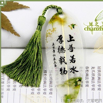 最新的藤萝为枝名言大全