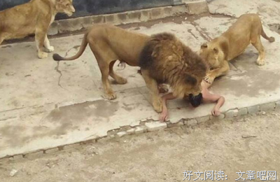 孩之才往并射的格言