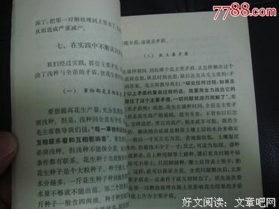 关于花生酱经典语录