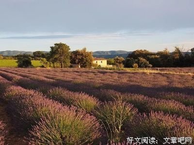 恒愚法每如打精彩语录