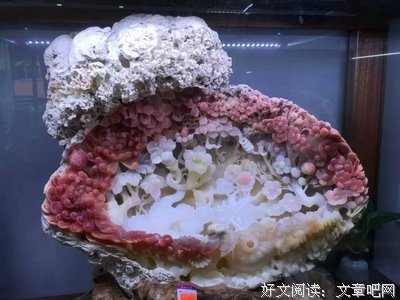 最新的《妃子血》经典语录大全