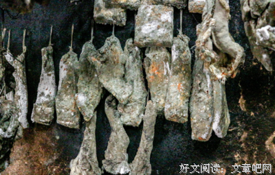 南方人已经发霉了！