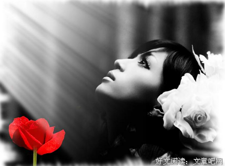 最全的《断舍离》语录摘抄