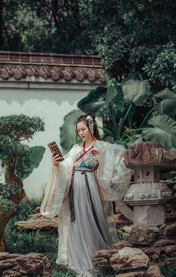 最全的《相见欢》好段摘抄