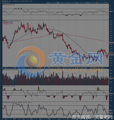 最新的《第二春》小说书摘