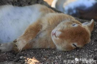 你自己都睡不好怎么睡别人。