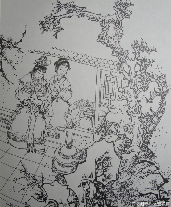 最全的《花解语》小说书摘大全