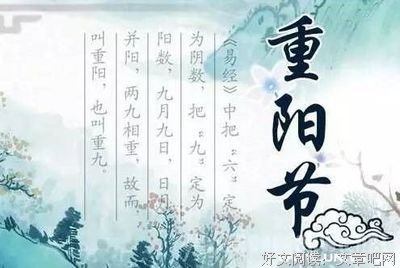 最经典的《醉花阴》语录摘抄大全