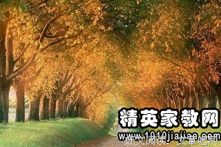最经典的《长歌行》名句欣赏