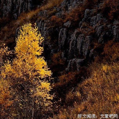 关于动手动脚的名言