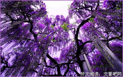 关于荒芜名言名句