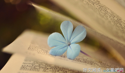 有想法！的优美句子