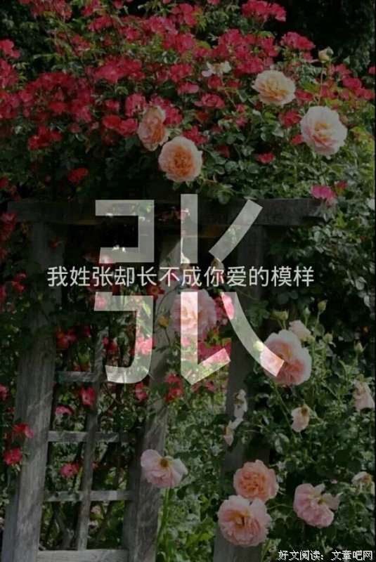 有关句组的句子