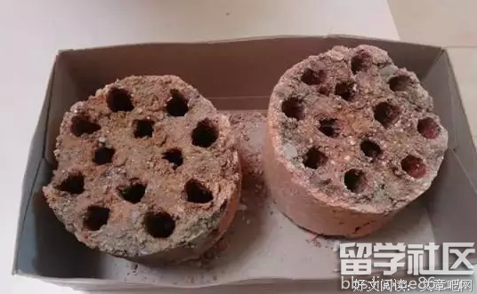 有关可以去的句子