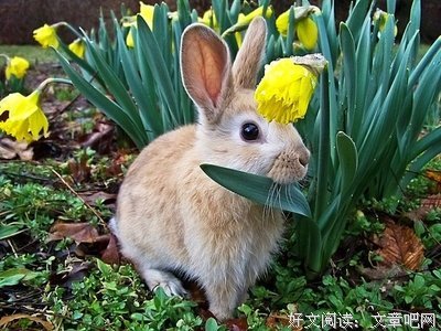 心颤经典的句子