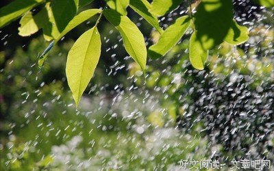 关于怎么忍心的句子