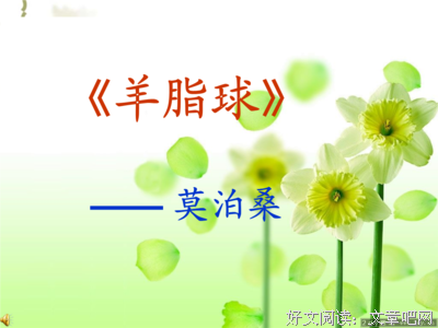 最新的《羊脂球》佳句摘抄大全