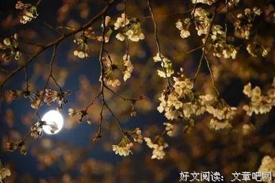 《乘风破浪》经典语句大全