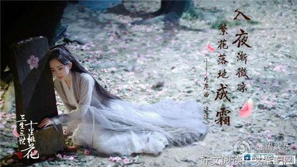 最全的《九重恩怨》经典语句