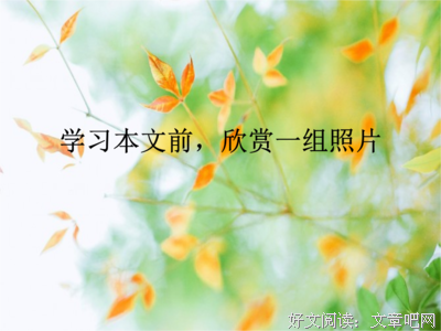 最经典的《乡土中国》经典句子大全
