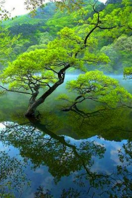 《人间失格》名句欣赏大全