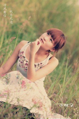 《凉风有信》小说摘抄大全